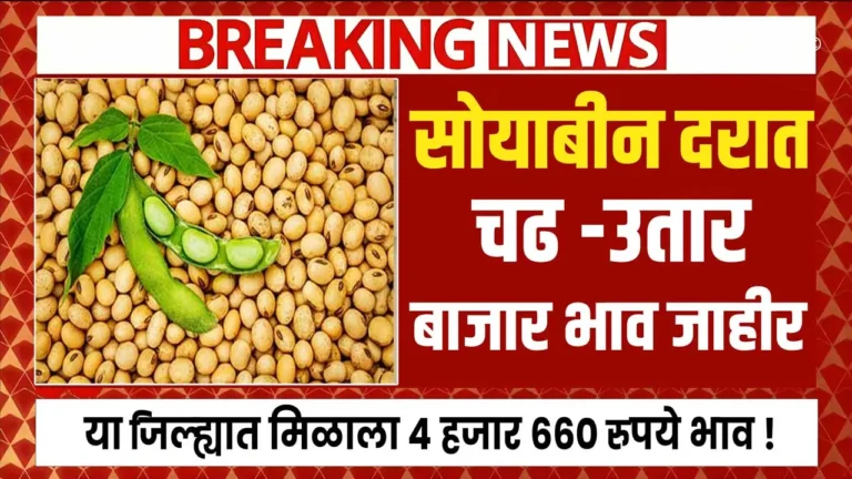 Soyabean bajar ajche