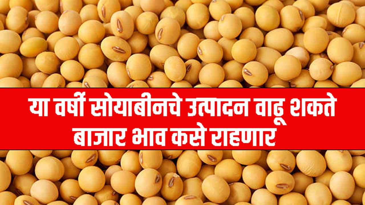 Soyabean rate 2024