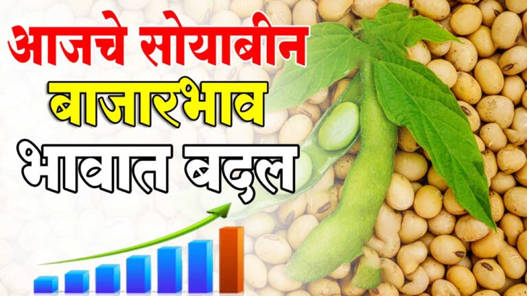 Soyabean today market