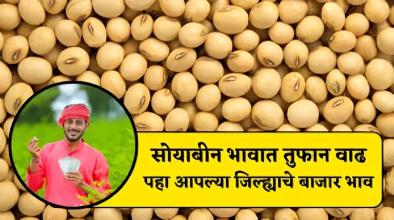 Today soyabean rate