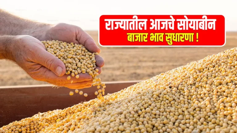 3 november Soyabean bhav