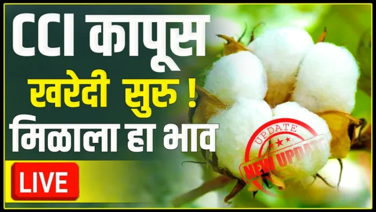 CCI Cotton Rate