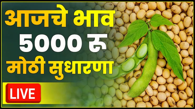 Soyabean bajar