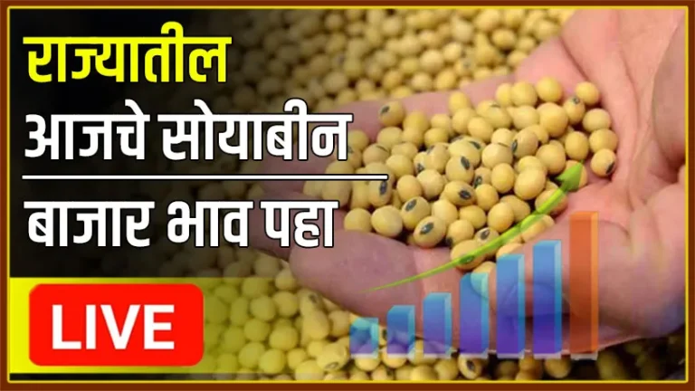 Soyabean today rate