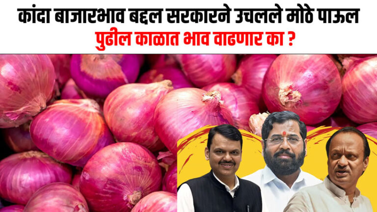 Onion Market Rate