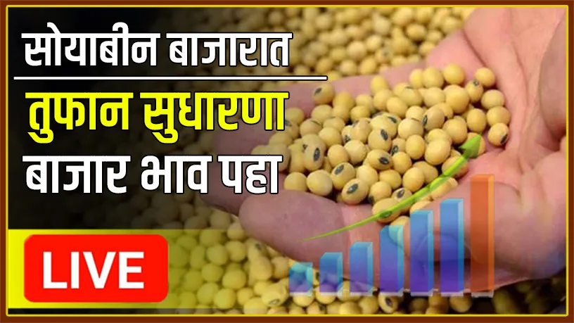 Soyabean Bajar Rate