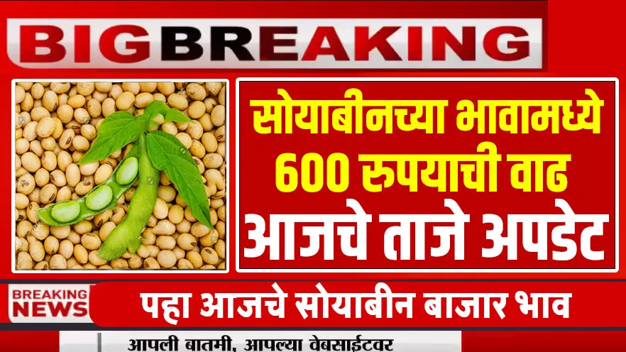 Soyabean bajar bhav Live