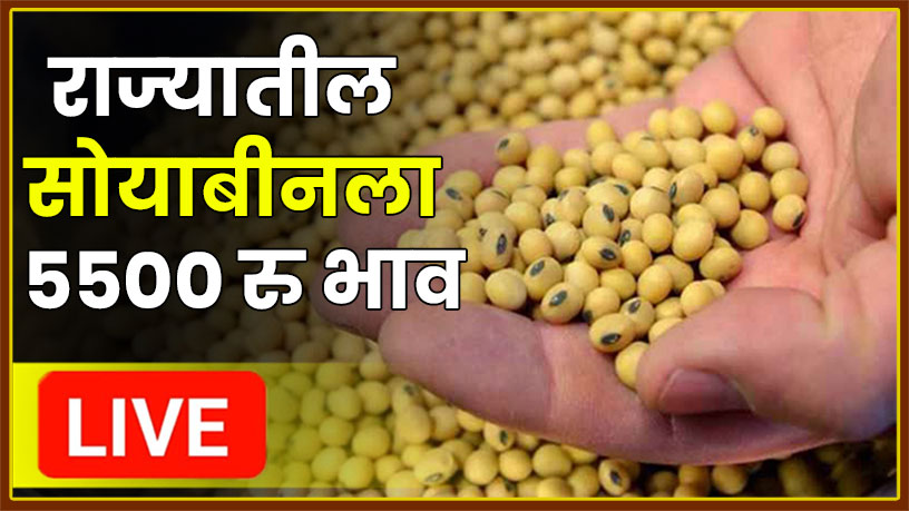 Soyabean rate