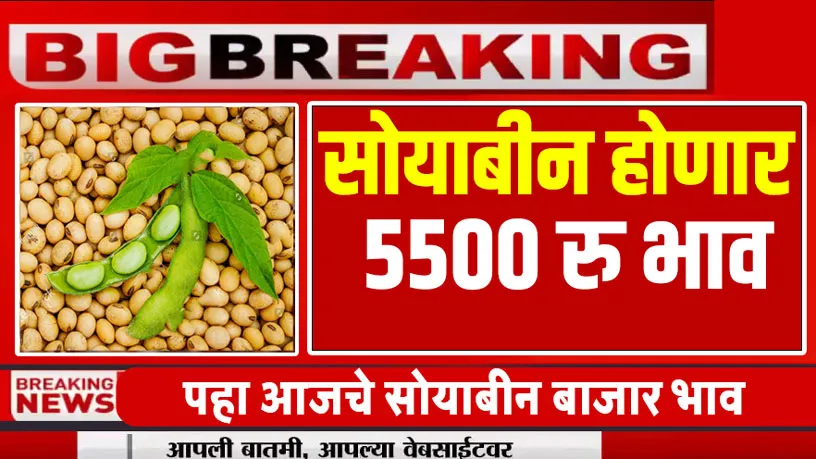 Soyabean Price